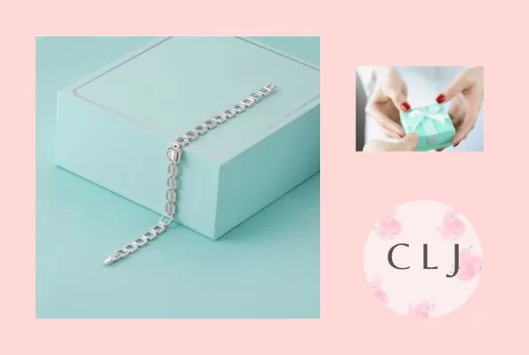 Jewelry with gift box with silver bow