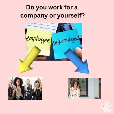 infographic asking whether you work for a company or are self employed